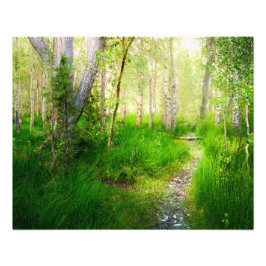 Convict Lake Aspen Wall Art | イースタニアン・シエラ フォトプリント