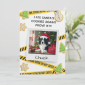 Cookie Crime Scene Funny Dog Christmas Card サンキューカード (スタンド正面)