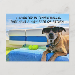 Cool Boat Dog with Sunglasses and Tennis Balls   シーズンポストカード