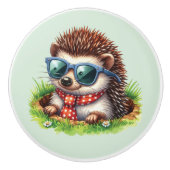 Cool boys hedgehog Nursery  セラミックノブ (正面)