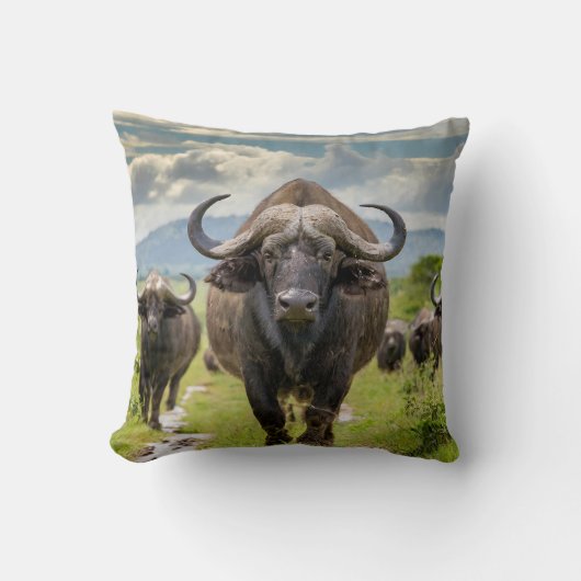 Cool Buffalo Pillow! クッション (正面)
