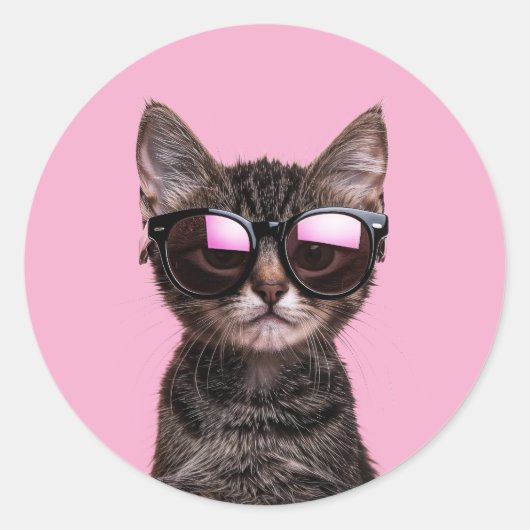 COOL CAT CUTE TABBY STICKERS ラウンドシール (正面)