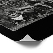 Cool Cats Kittens Meow Punk Rock Band Funny Cat Lo ポスター (角)