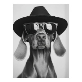 Cool Dog Portrait - Weimaraner in Hat and Sunglass ポスター