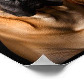 Cool Dog Sungles Bullmastiff Funny Look  ポスター (角)