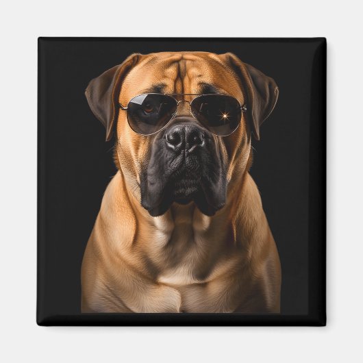 Cool Dog Sungles Bullmastiff Funny Look  マグネット (正面)