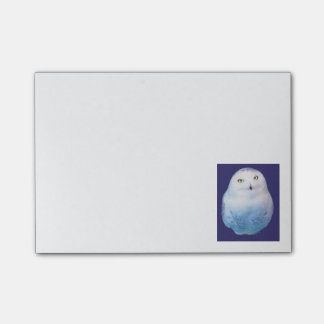 Cool Post-it Snowy Owl ポストイット