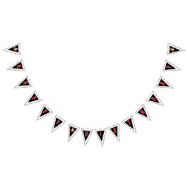 Cool Punk Rockstar Birthday Bunting Flags バンティングフラッグ