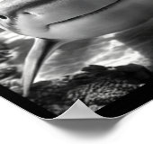 Cool Shark Animal Selfie  ポスター (角)