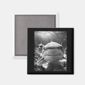 Cool Shark Animal Selfie  マグネット (正面/裏面)