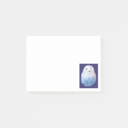 Cool Snowy Owl ポストイット (正面)