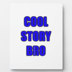 cool story bro フォトプラーク