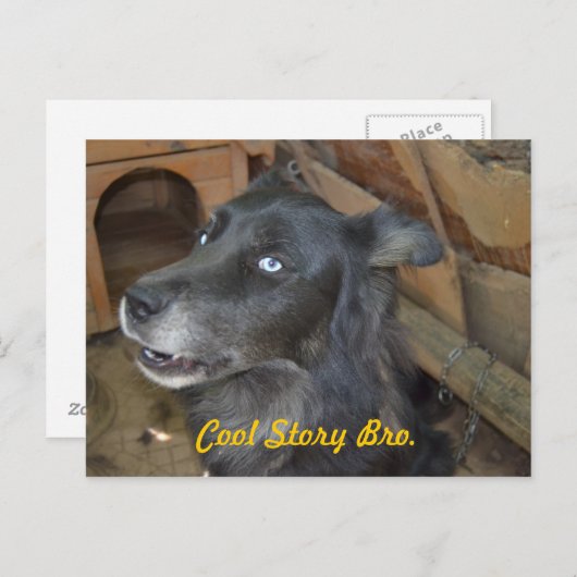 Cool story bro ポストカード (正面/裏面)