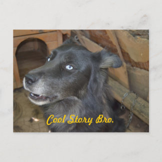 Cool story bro ポストカード