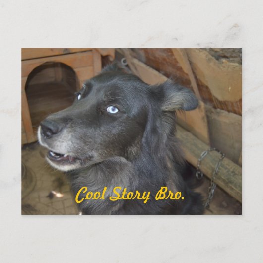 Cool story bro ポストカード (正面)