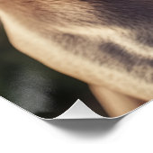 Cool Weimaraner Dog with Flat Cap & Sunglasses ポスター (コーナー)