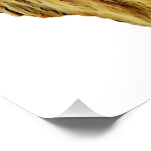 cooler Löwenkopf mit Hut, Zigarette und Monokel ポスター (コーナー)