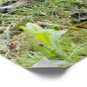 Cooling Off ポスター (角)