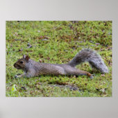 Cooling Off ポスター (正面)