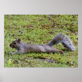 Cooling Off ポスター