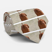 Coonhound ネクタイ (ロール)