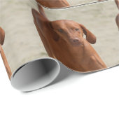 Coonhound ラッピングペーパー (ロールコーナー)