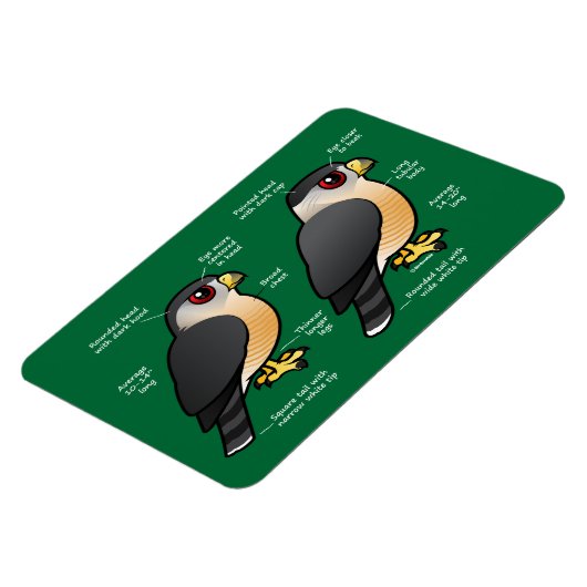 Coop v Sharpie マグネット (左側)