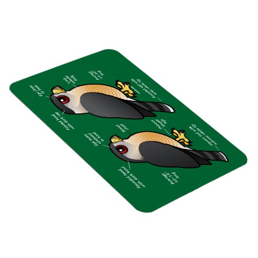 Coop v Sharpie マグネット (右側)