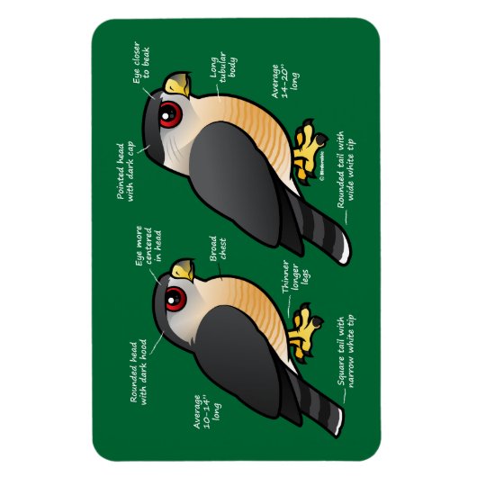 Coop v Sharpie マグネット (縦)