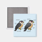 Coop v Sharpie マグネット (正面/裏面)