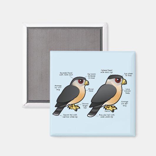 Coop v Sharpie マグネット (正面/裏面)