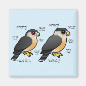 Coop v Sharpie マグネット (正面)