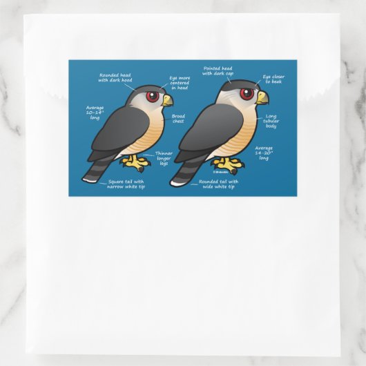 Coop v Sharpie 長方形シール (バッグ)