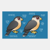 Coop v Sharpie 長方形シール (正面)