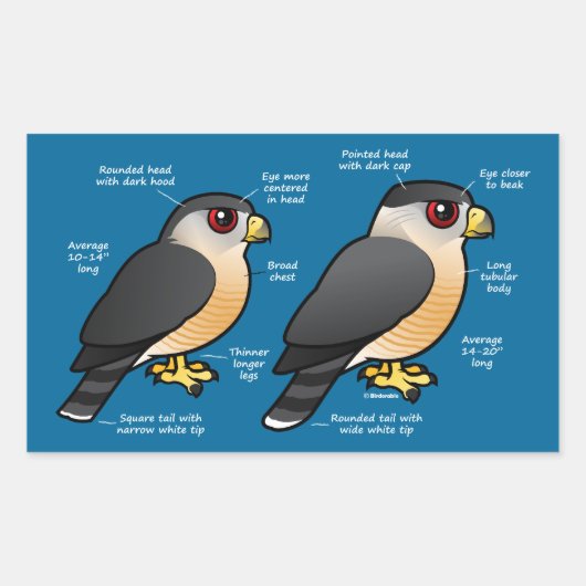 Coop v Sharpie 長方形シール (正面)