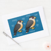 Coop v Sharpie 長方形シール (封筒)