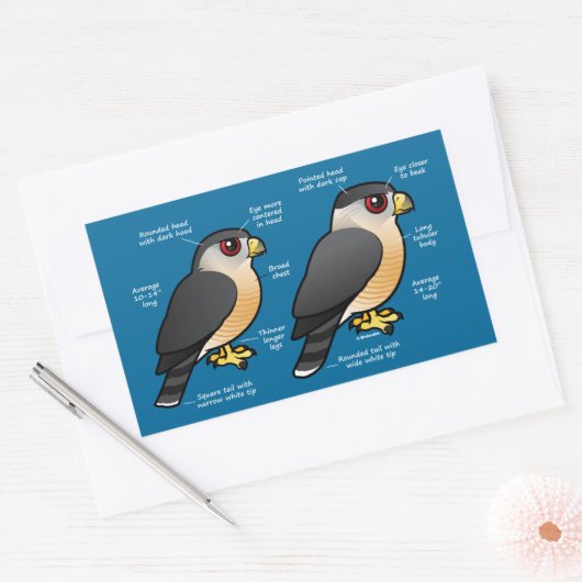 Coop v Sharpie 長方形シール (封筒)