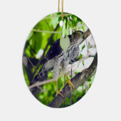 Coopers hawk in the Grapevine セラミックオーナメント (右)