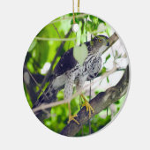 Coopers hawk in the Grapevine セラミックオーナメント (左)