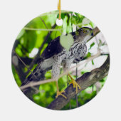 Coopers hawk in the Grapevine セラミックオーナメント (裏面)