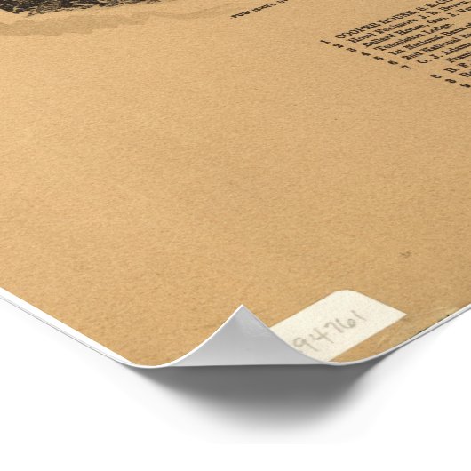 Cooperstown New York 1890アンティークパノラママップ ポスター (角)