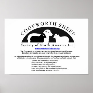 Coopworth Sheepポスター ポスター