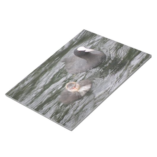 CootとChickメモ帳 ノートパッド (アングル)