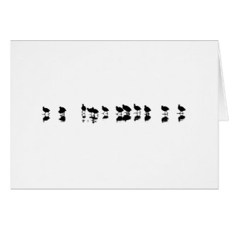 Cootのデザイン-白の黒