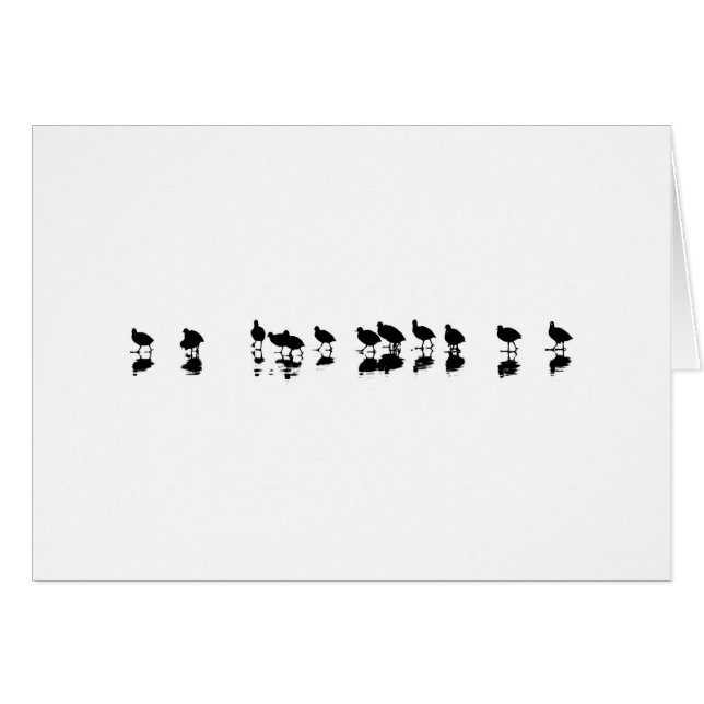 Cootのデザイン-白の黒 (正面横)