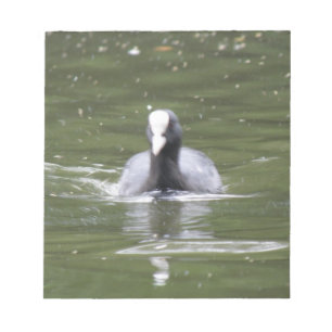 Cootスイミングメモ帳 ノートパッド