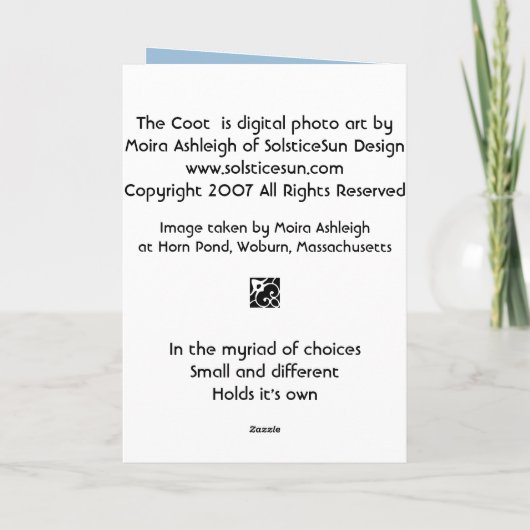 Coot カード (裏面)