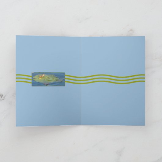 Coot カード (内部)