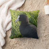 Coot クッション (ブランケット)