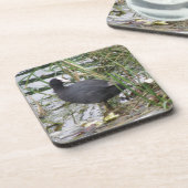 Coot on the Riverbank Cork Coaster コースター (左側)